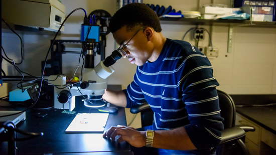 Electrical and Computer Engineering